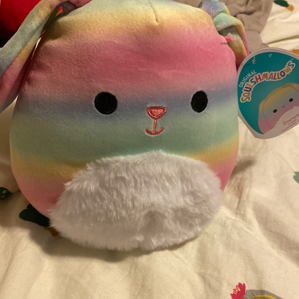 Danya rainbow bunny squishmallow